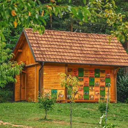 Beautiful In With Sauna شقة